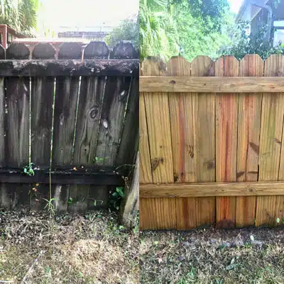 Fence & Deck Cleaning